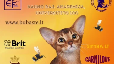 TARPTAUTINĖ KAČIŲ PARODA "KAČIŲ VASARA 2026"