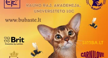 TARPTAUTINĖ KAČIŲ PARODA "KAČIŲ VASARA 2026"