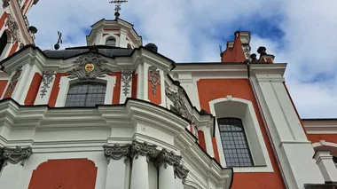 Kotryna nusiima kaukę