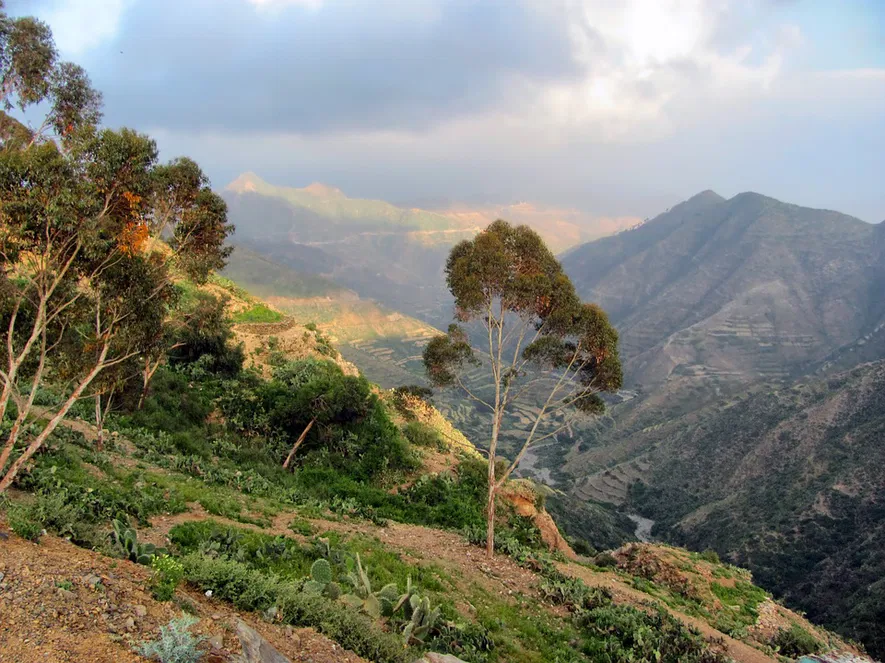 Eritrėja