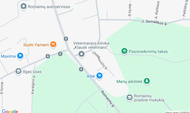 Romainių miškas žemėlapis