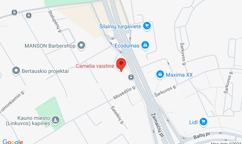 Žemaičių plentas 37 žemėlapis