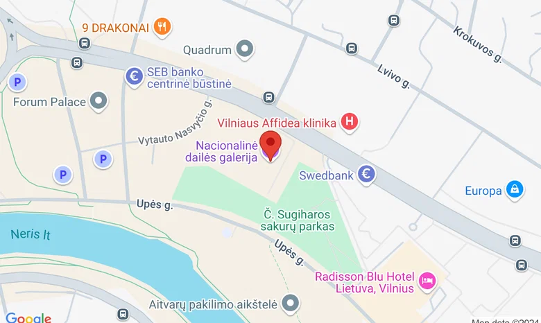 Nacionalinės dailės galerijos | Kultūros renginių salė žemėlapis