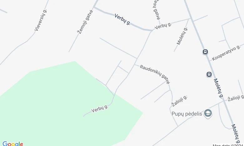 Didžioji Riešė žemėlapis