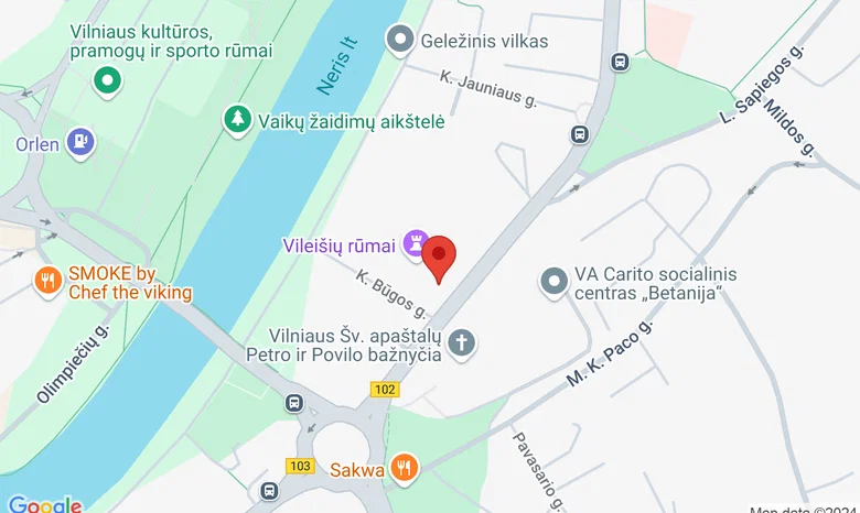 Lietuvių literatūros ir tautosakos institutas žemėlapis