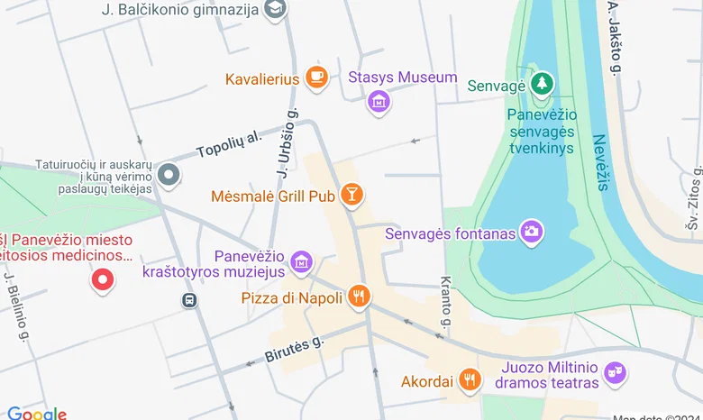 Mazoji Medicinos Mokykla Panevezyje žemėlapis