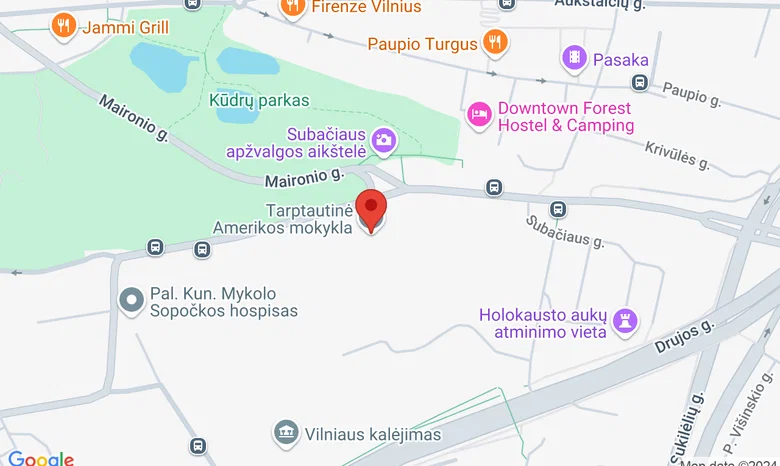 American International School of Vilnius, Subačiaus gt. 41, Vilnius, 11350 žemėlapis