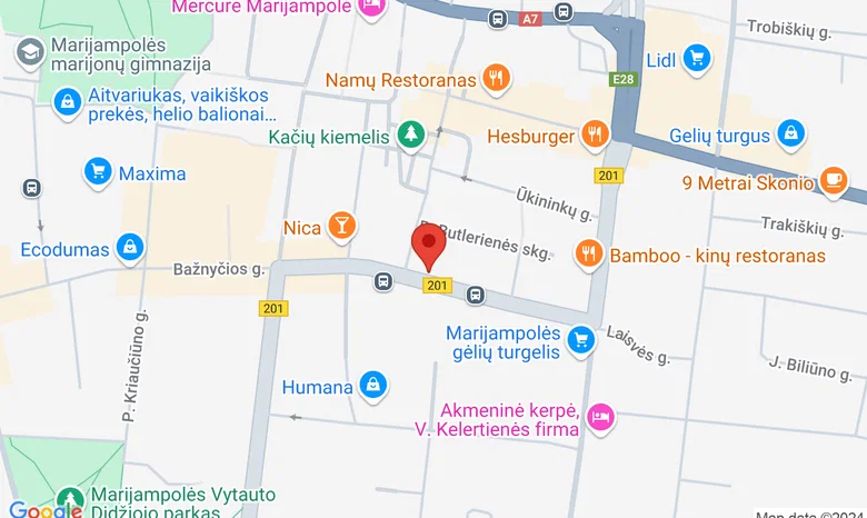 Visuomenės ir verslo plėtros institutas žemėlapis
