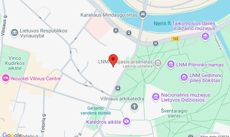 Vrublevskio 6a "Elementas" žemėlapis