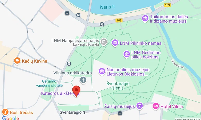 Katedros aikštė priešais Valdovų rūmus žemėlapis