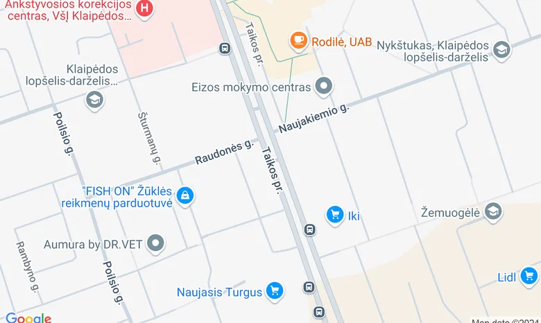 Taikos pr. žemėlapis