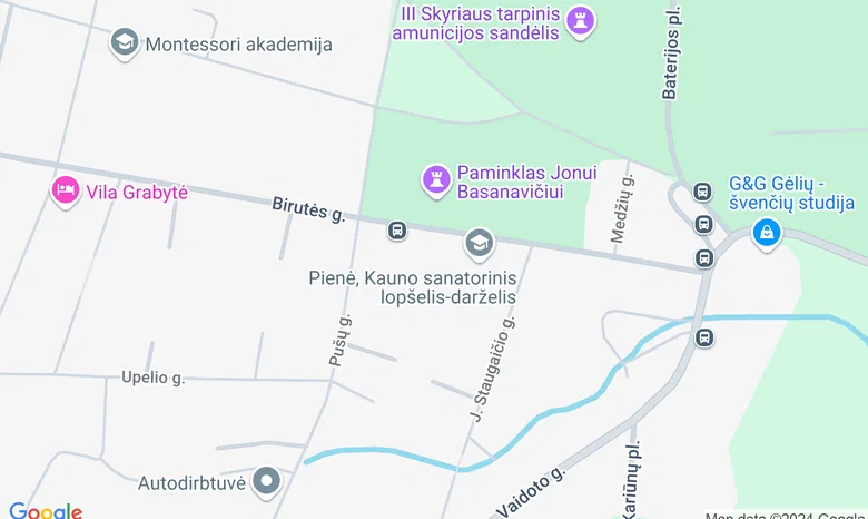 Paminklas J. Basanavičiui žemėlapis
