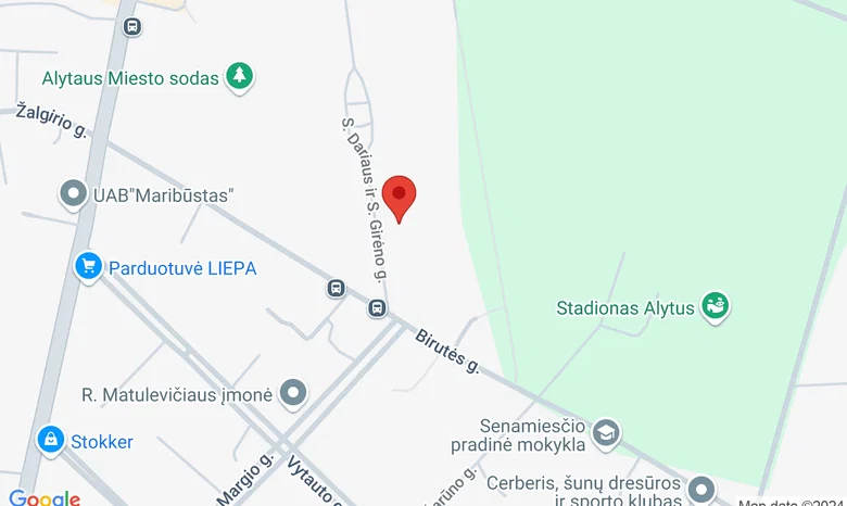 Kauno taikomosios dailės mokykla Alytaus filialas  žemėlapis