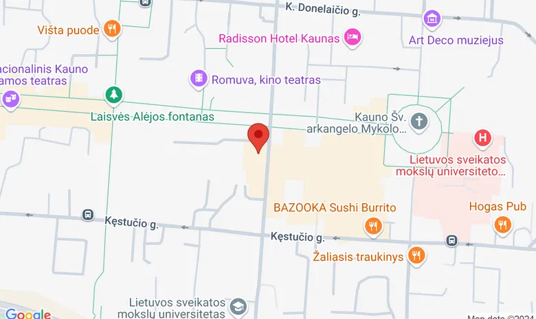 Lietuvos karininkų ramovė žemėlapis