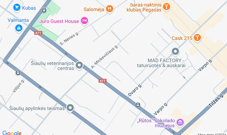 Palangos jaunimo ir savanorystės centras žemėlapis