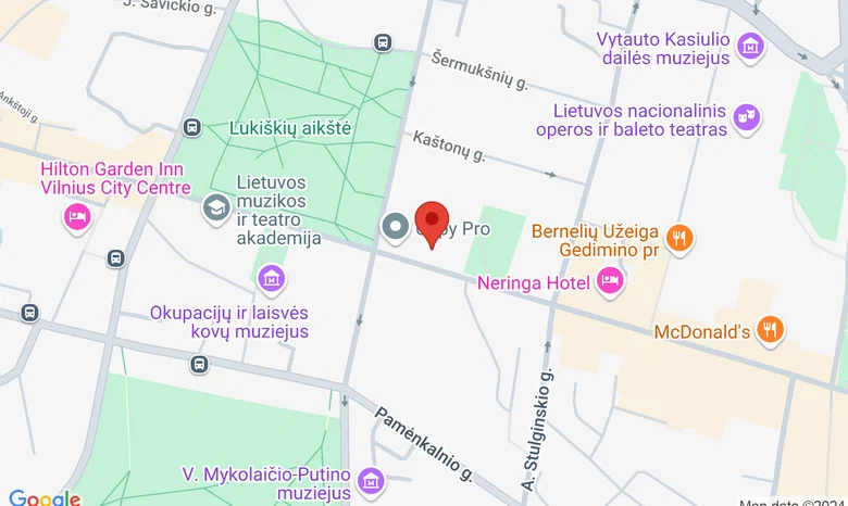 Gediminas Avenue 31, Vilnius   žemėlapis