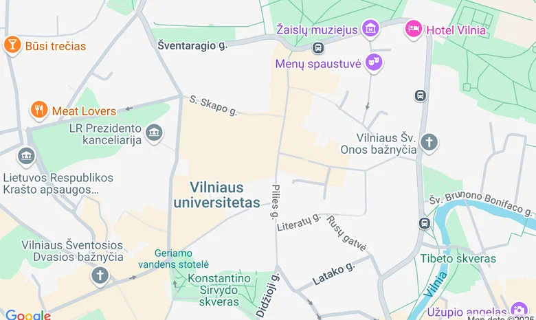 Vyčio paminklas Laisvės Karys žemėlapis