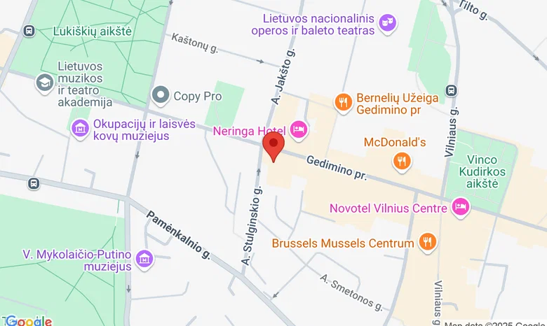 Gedimino prospektas 28 (įėjimas iš A. Stulginskio g. pusės) žemėlapis