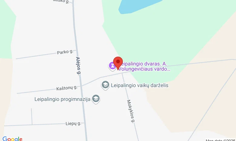 Alėjos g. 3 ir Alėjos g. 30, Leipalingis žemėlapis