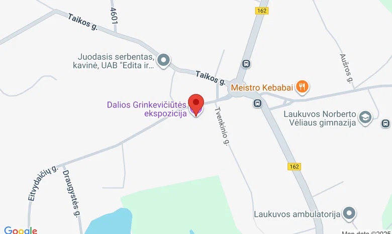 Dalios Grinkevičiūtės ekspozicija žemėlapis
