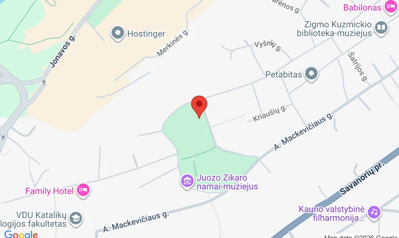 Laikinoji M. K. Čiurlionio dailės galerija žemėlapis