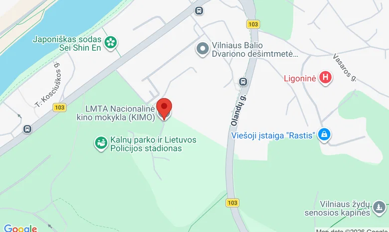 LMTA Nacionalinė kino mokykla (KIMO) žemėlapis