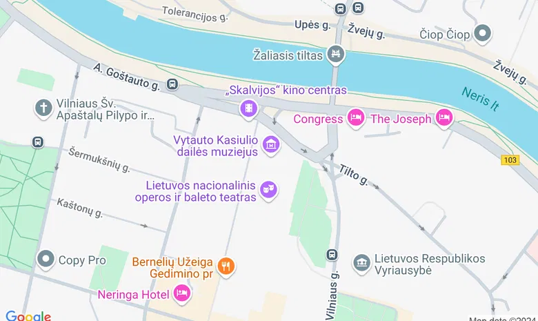 Vytauto Kasiulo dailės muziejus žemėlapis