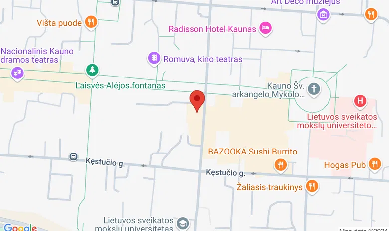 Kauno įgulos karininkų ramovė žemėlapis
