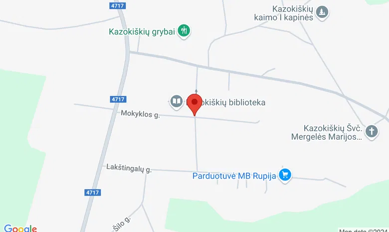 Vasyliškės ,Kazokiškių sen., Elektrėnų sav.  žemėlapis