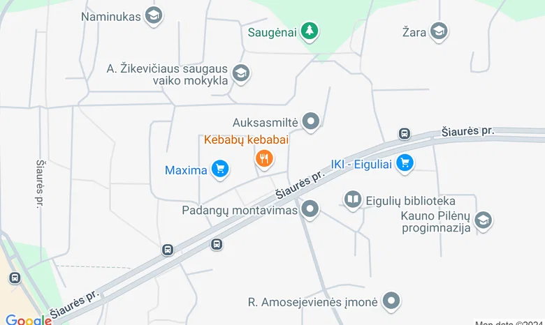VšĮ Terapijos ir kūrybinės raiškos namai šeimai žemėlapis