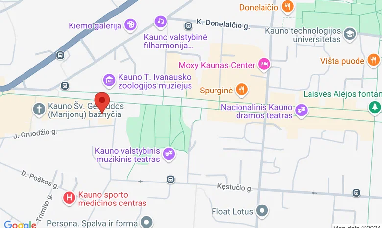 Aušros gimnazija žemėlapis