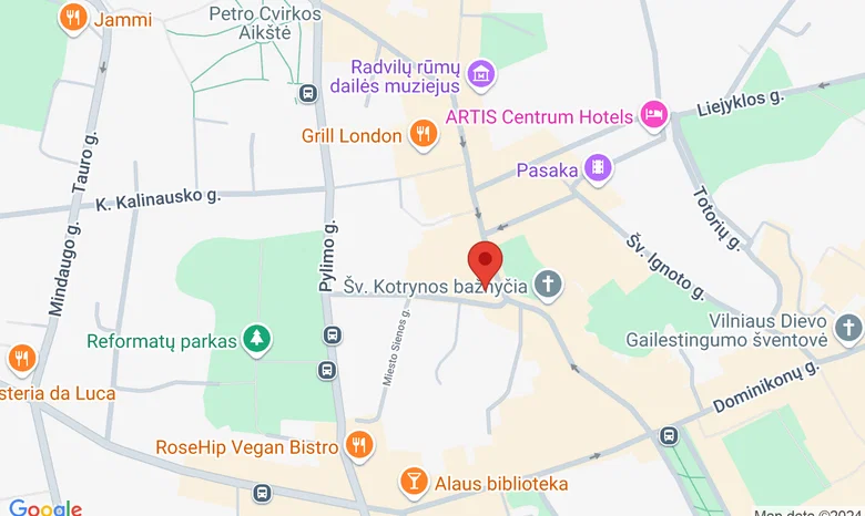 VVJ meno galerija žemėlapis