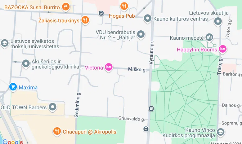 Kauno centro sporto mokykla žemėlapis