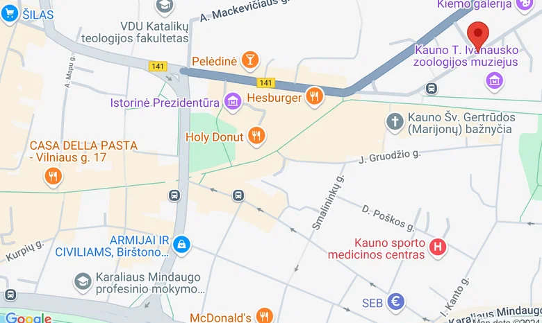 KAUNAS JAZZ J. Gruodžio konservatorijos scena ▶ Vilniaus g. 64-66 žemėlapis