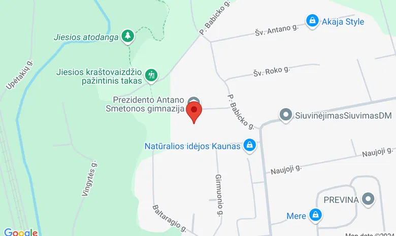 Kauno Rokų gimnazija žemėlapis