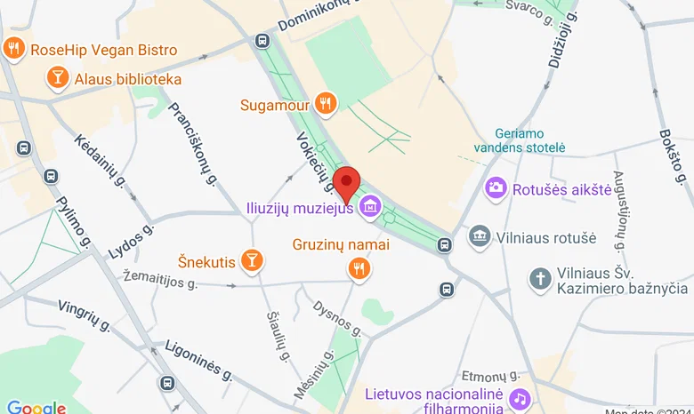 VU Tarptautinių santykių ir politikos mokslų institutas žemėlapis
