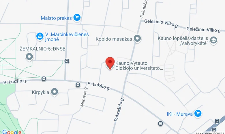 Vytauto Didžiojo universiteto „Rasos“ gimnazija žemėlapis