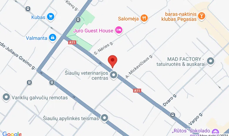 Poeto Jovaro namas žemėlapis