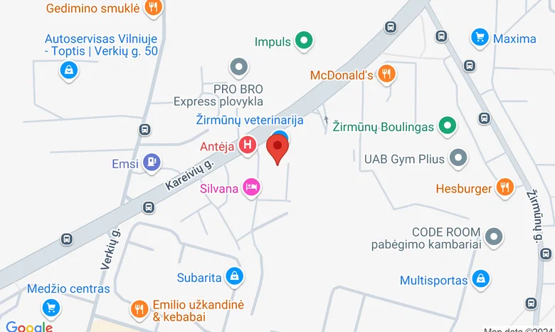 ĮKVĖPIMO NAMAI Kareivių g. 11 - 3c žemėlapis