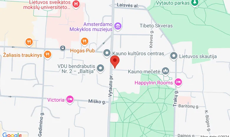 A. Puškino gimnazija žemėlapis