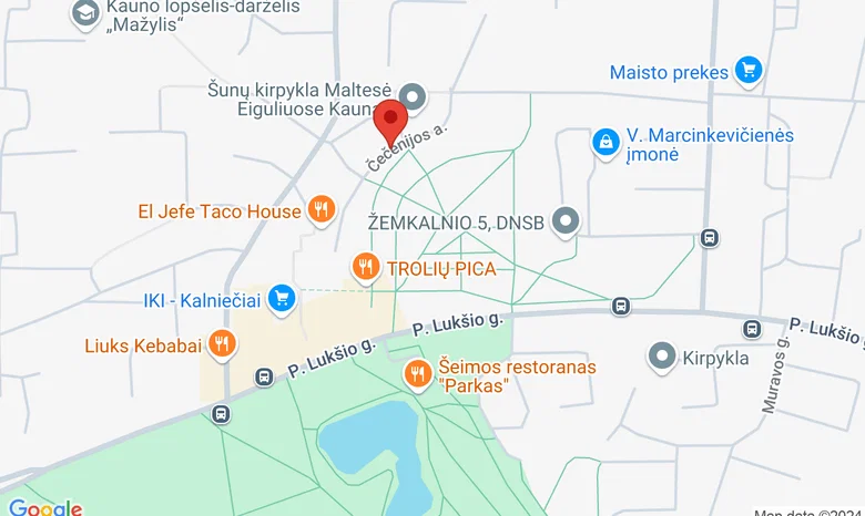 Eigulių amfiteatras (Čečėnijos aikštėje) žemėlapis