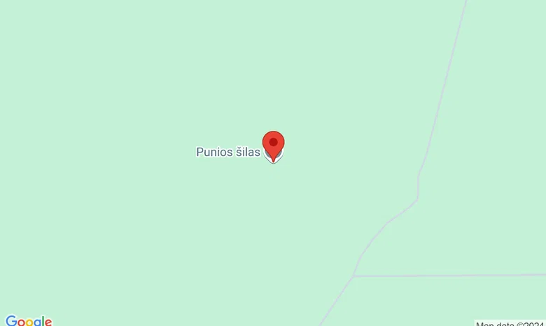 Punios šilas žemėlapis