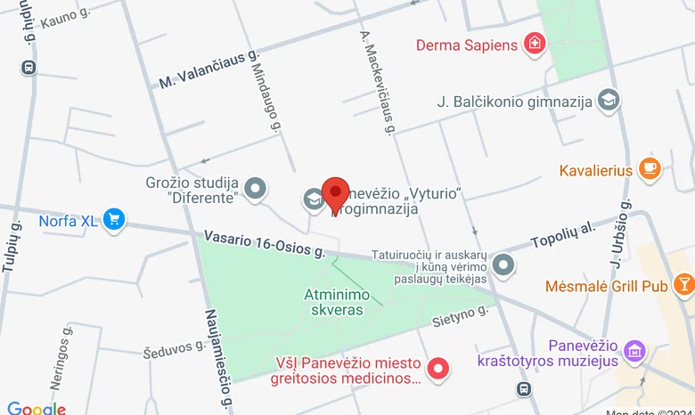 Panevėžio „Vyturio“ progimnazijos stadionas žemėlapis