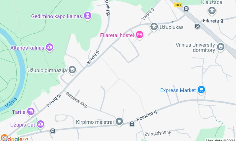studija "Lašo jėga", Vileišio 17a žemėlapis