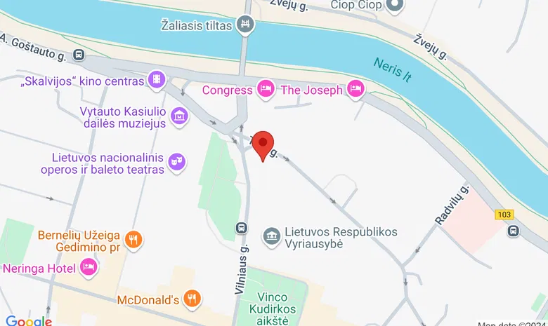 Lietuvos muzikos ir teatro akademija, II (Kongresų) rūmai žemėlapis