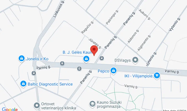 Panerio klinika žemėlapis