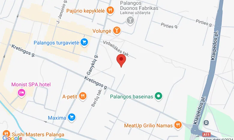 Palangos Vlado Jurgučio pagrindinė mokykla žemėlapis