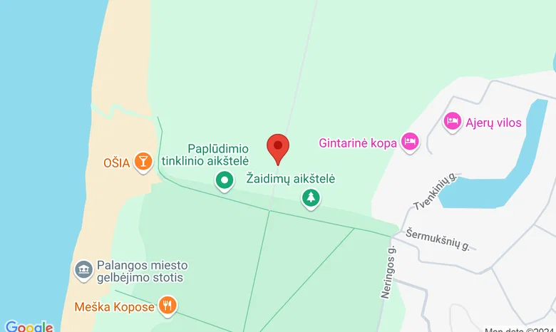 Naglio alėja žemėlapis