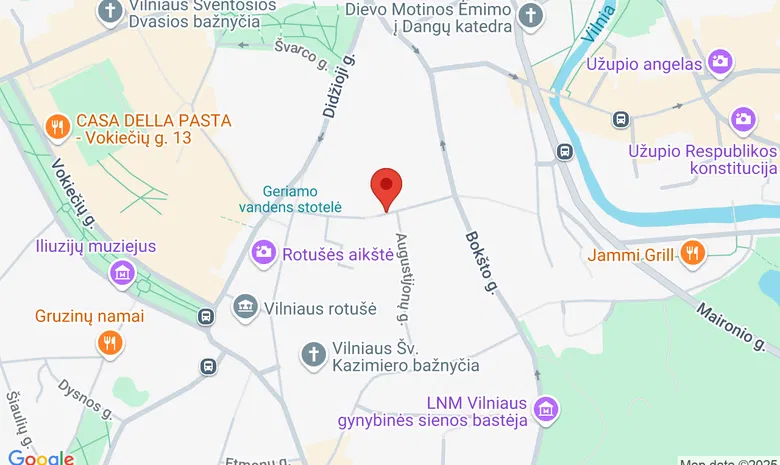 M. K. Čiurlionio namai, Savičiaus g. 11 Vilnius žemėlapis