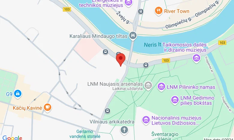 Lietuvos mokslų akademijos Vrublevskių biblioteka žemėlapis